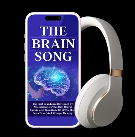 Brain Song product photo
